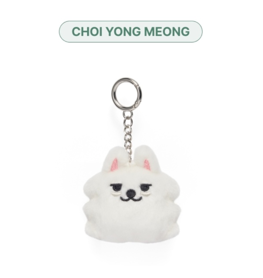 PREORDER ! PPULBATU Face Keyring–The Tiny Kpop Shop