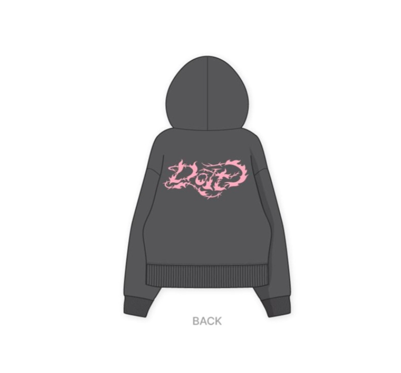 Preorder! Stray Kids Do It MD 08. Zip-Up Hoodie–The Tiny Kpop Shop